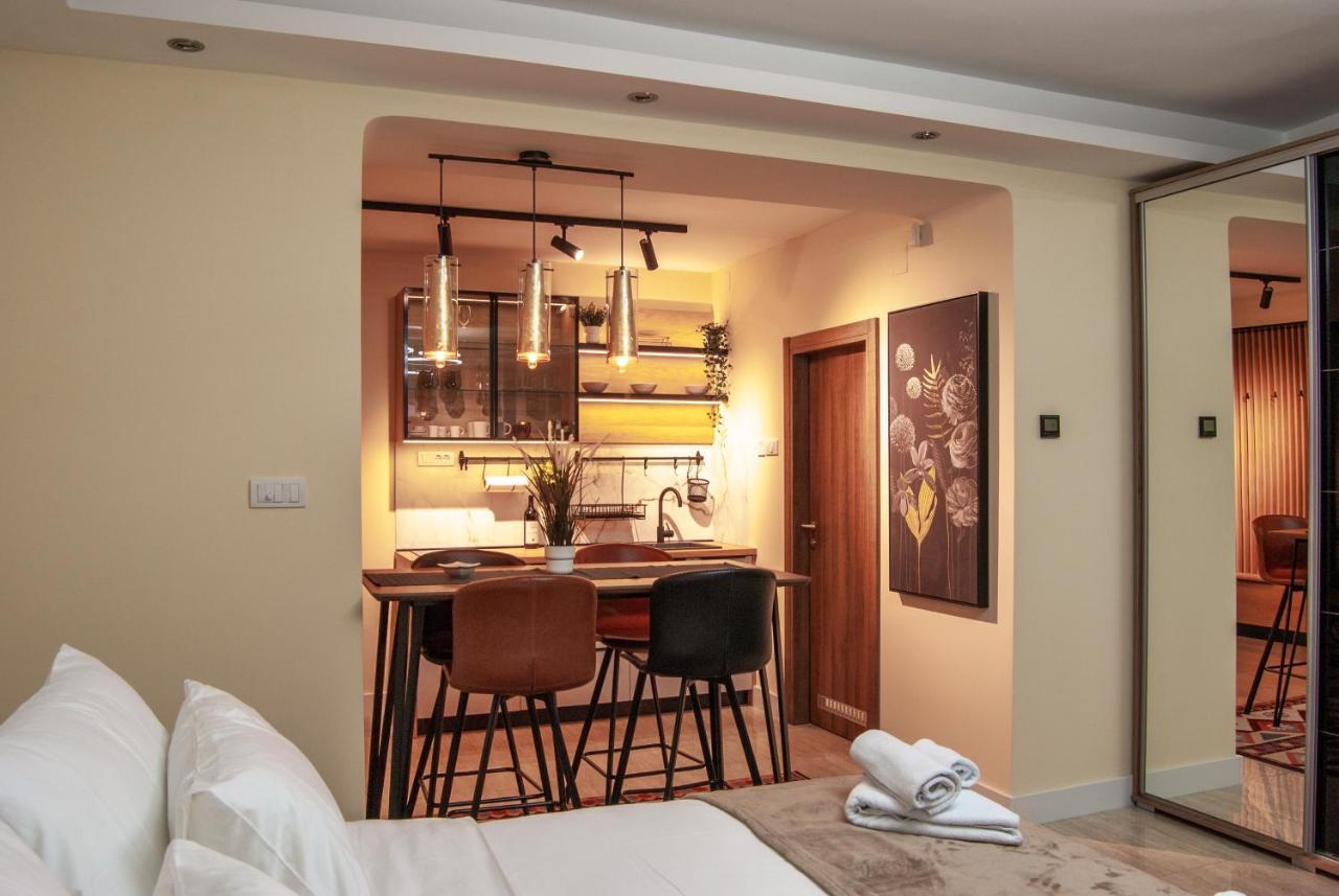 בלגרד N10 Apartment מראה חיצוני תמונה