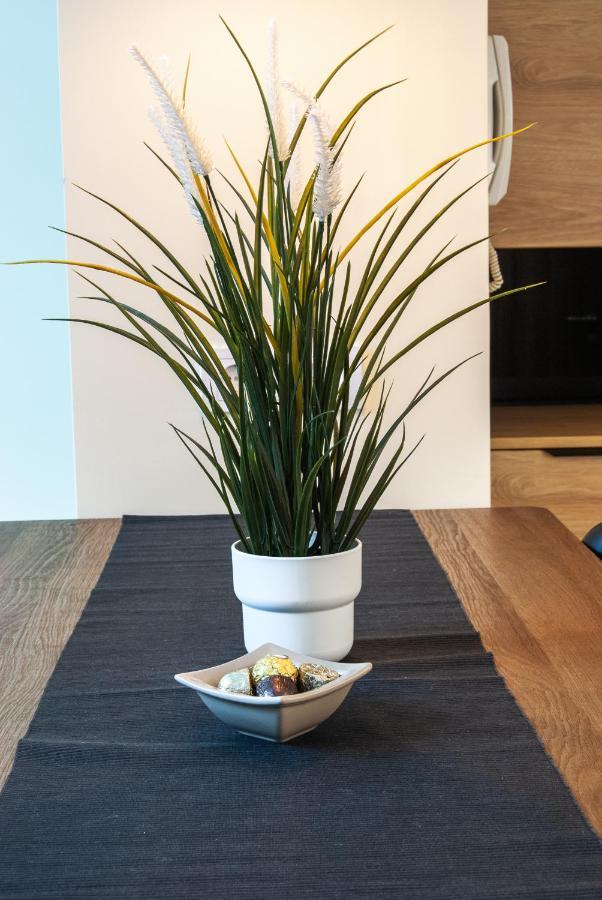 בלגרד N10 Apartment מראה חיצוני תמונה
